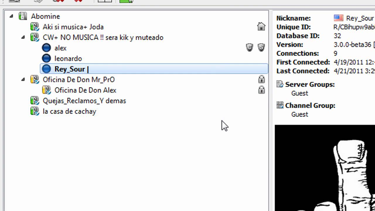 how to put a picture on team speak
