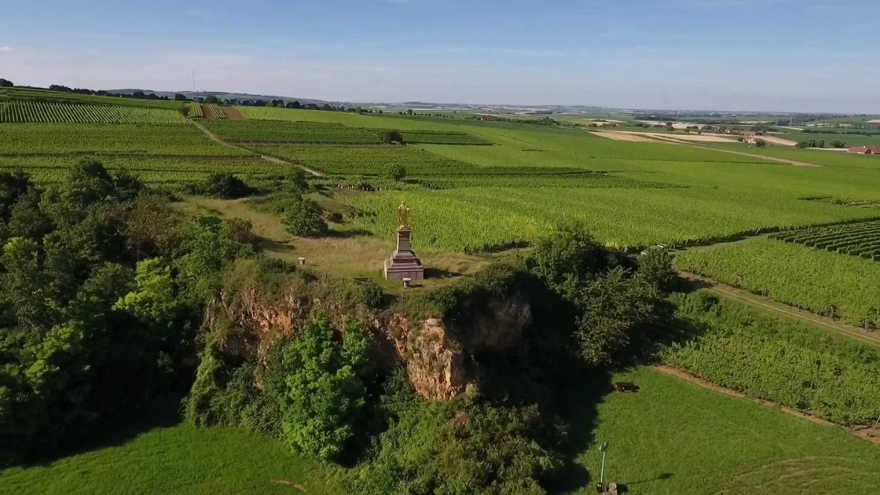 Dans les vignes près de Dahlenheim