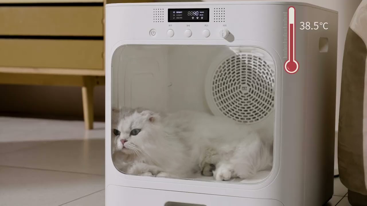 🐱✨No more cat hair at home, free from the confusion of feline fur.🙌