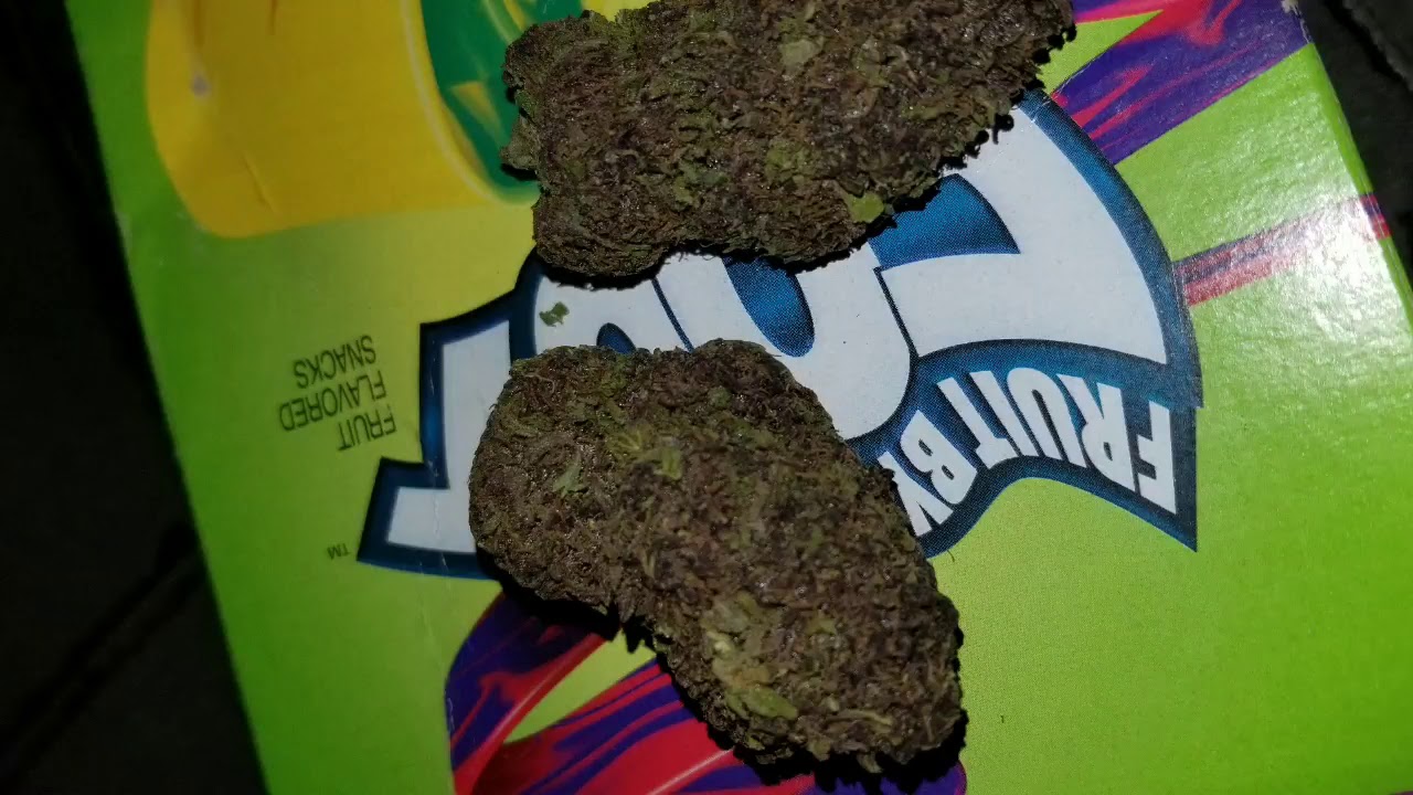 Oklahoma Cannabis PURPLE GORILLA PUNCH STRAIN PREVIEW