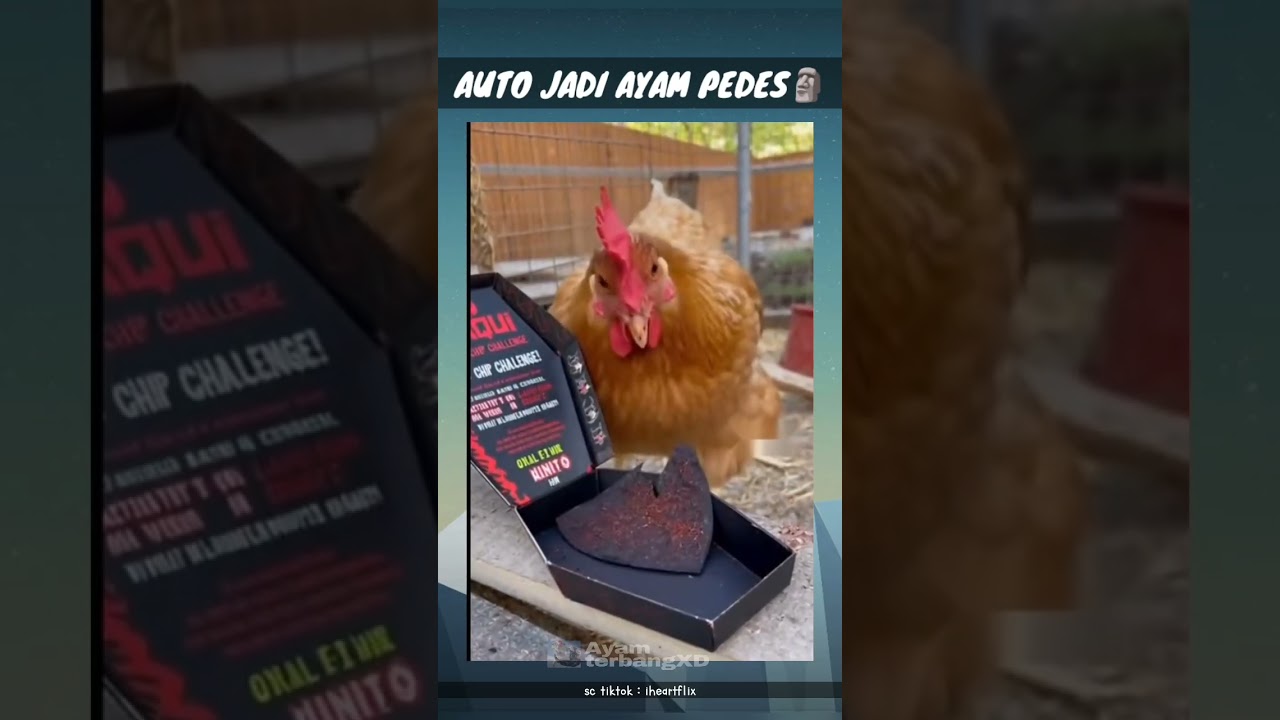ayam geprek 🗿😋 #memes #memengakakkocak #funny