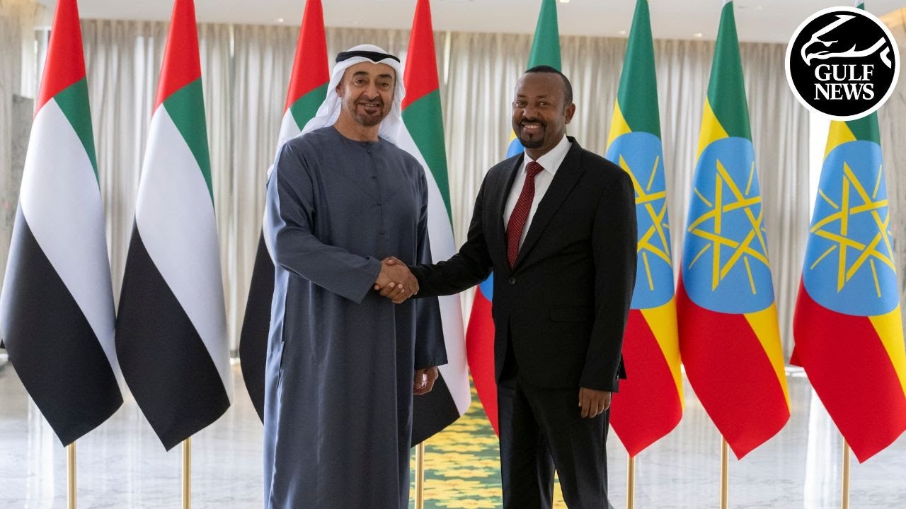 UAE President meets with Ethiopian Prime Minister: Strengthening bilateral relations