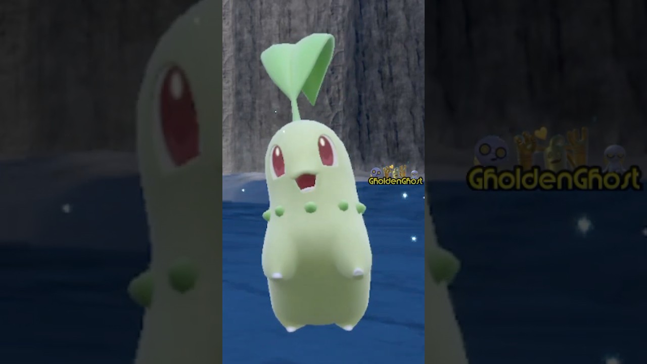 Why is Chikorita So Darn CUTE!? #pokemon #chikorita #pokemonscarletandviolet #starterpokemon