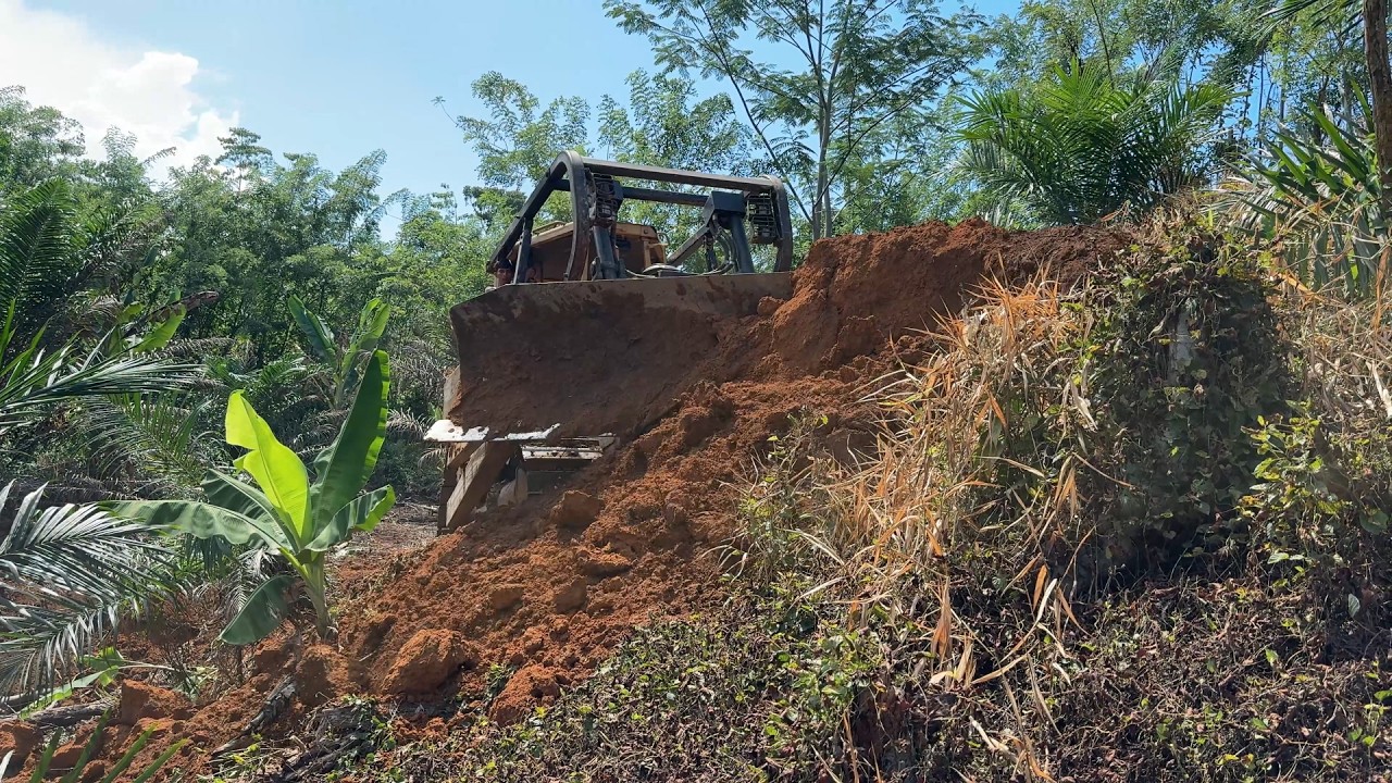 Watching the D6R XL Bulldozer Work on the Palm Plantation Slope