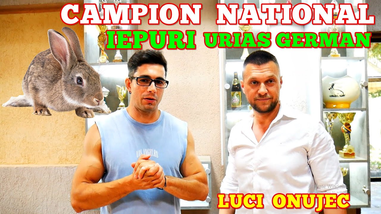 Viața la țară - Acasă la Luci Onujec - Crescătorie de iepuri Uriaș German TOP