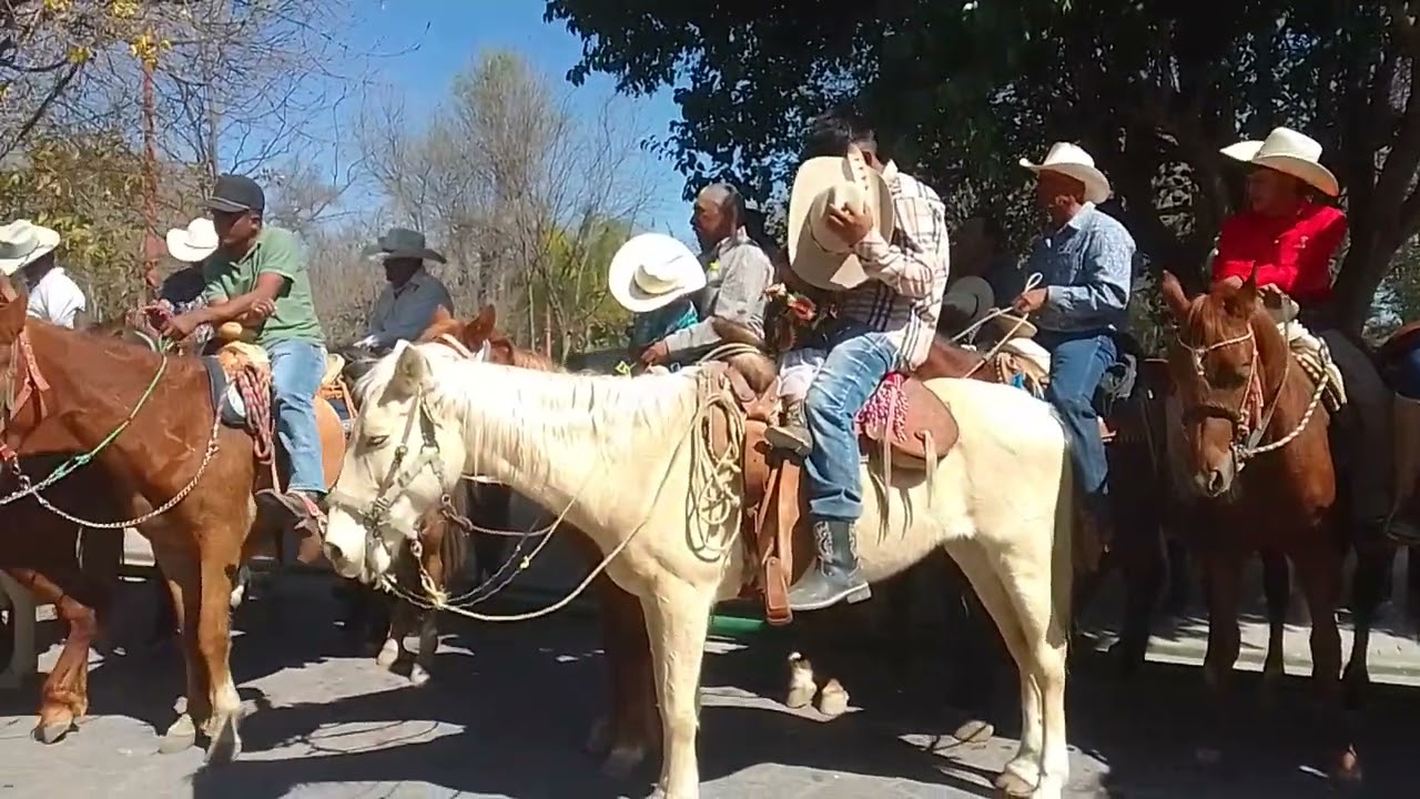 Venado... cumpliendo como se debe..saludos.