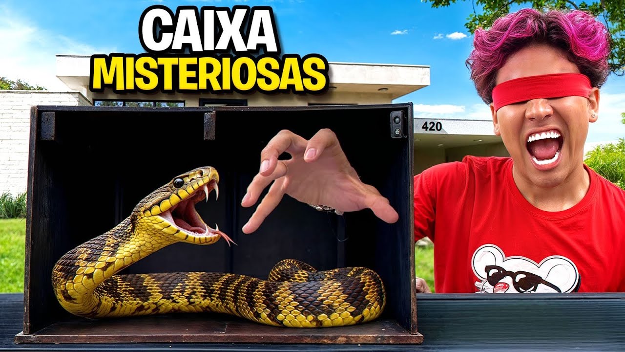 DESCUBRA O QUE TEM NA CAIXA MISTERIOSA! * cobra me picou?