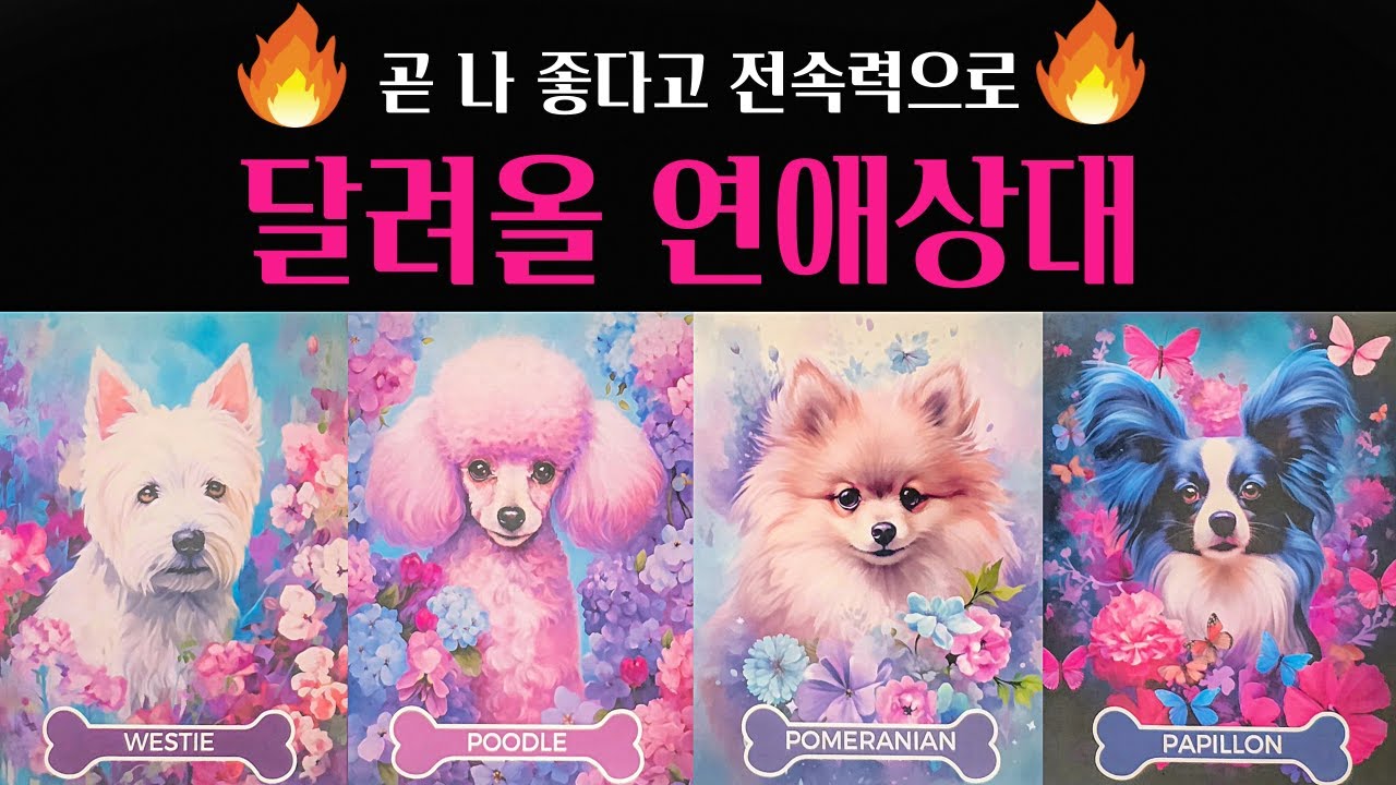 [타로] 🥶신점보다 용한타로🔥곧 내가 좋다고 달려올 연애상대💗 외모 성격 자세한 특징 속마음 알려드려요💖