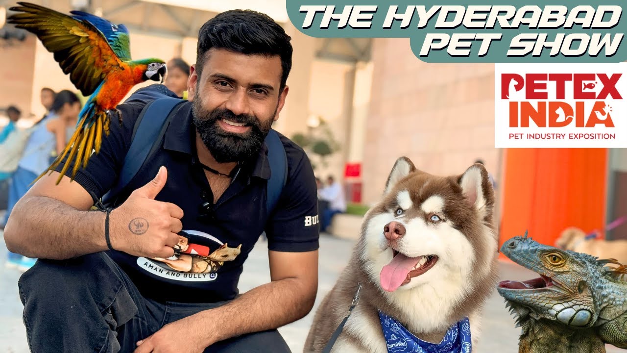 Biggest Pet show of Hyderabad - Petex 2025 - Pet industry of India