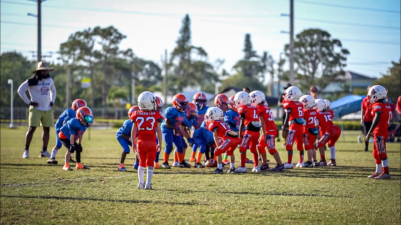 ✨⚡️ 6U Naples Gators | North Ft. Myers Knights Spring