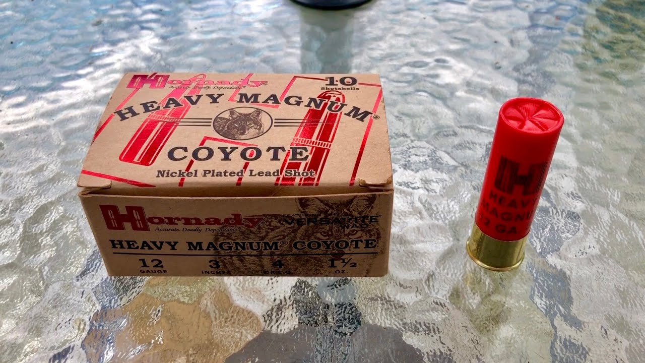 Пуля Hornady Heavy Magnum Coyote 12-го калибра, 3 дюйма, 1,5 унции, свинцовая, BB — разборка