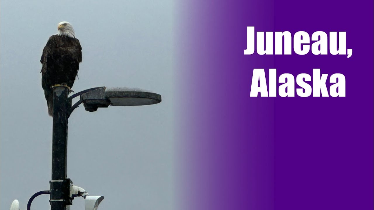 Princess Cruises Juneau Alaska/legally blind perspective whale watching/capital building/birthday