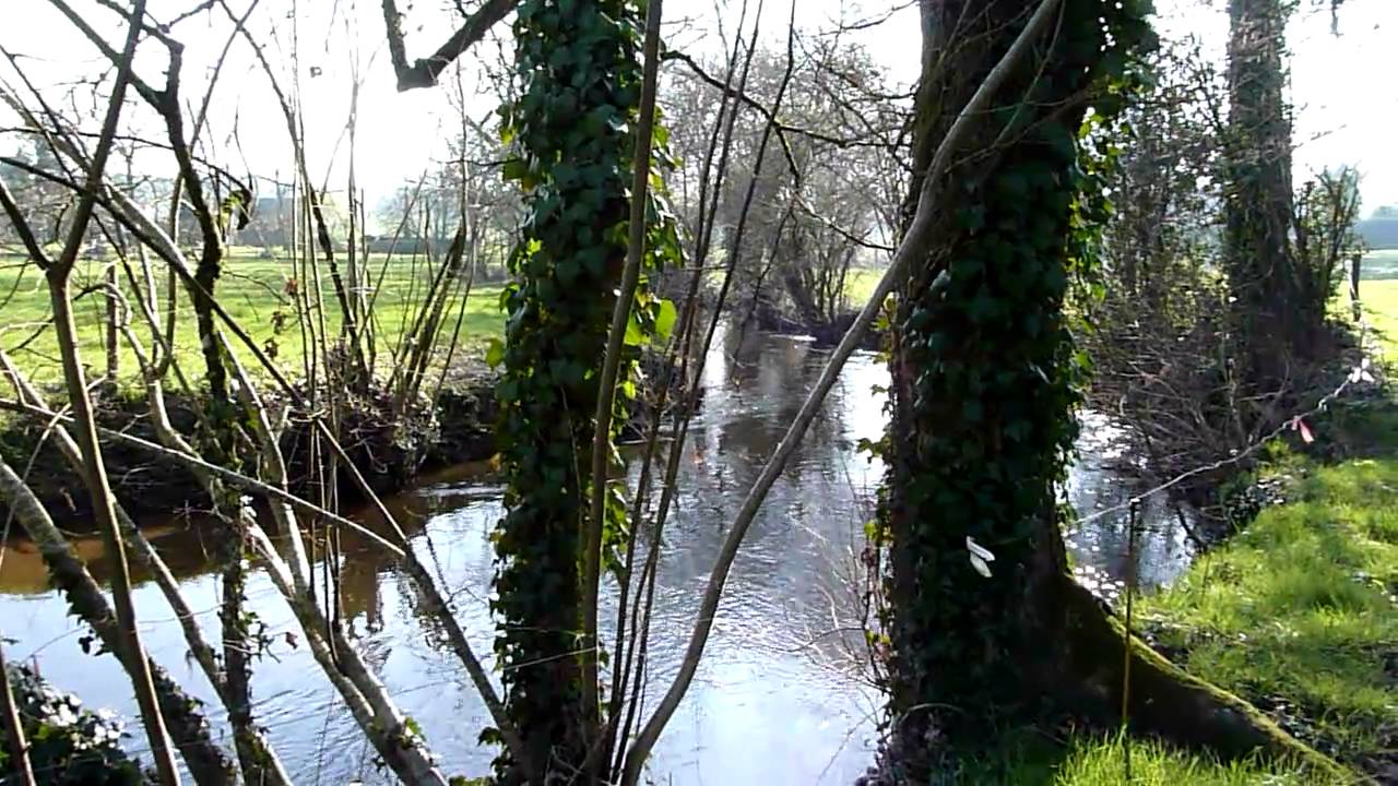 Course fishing in brittany via the Brittany holiday cottage with private pool