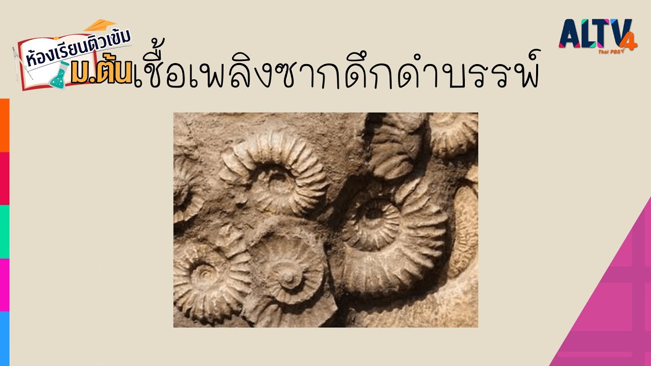วิทยาศาสตร์ : เชื้อเพลิงซากดึกดำบรรพ์ l ห้องเรียนติวเข้ม ม.ต้น(26 ก.พ.65)