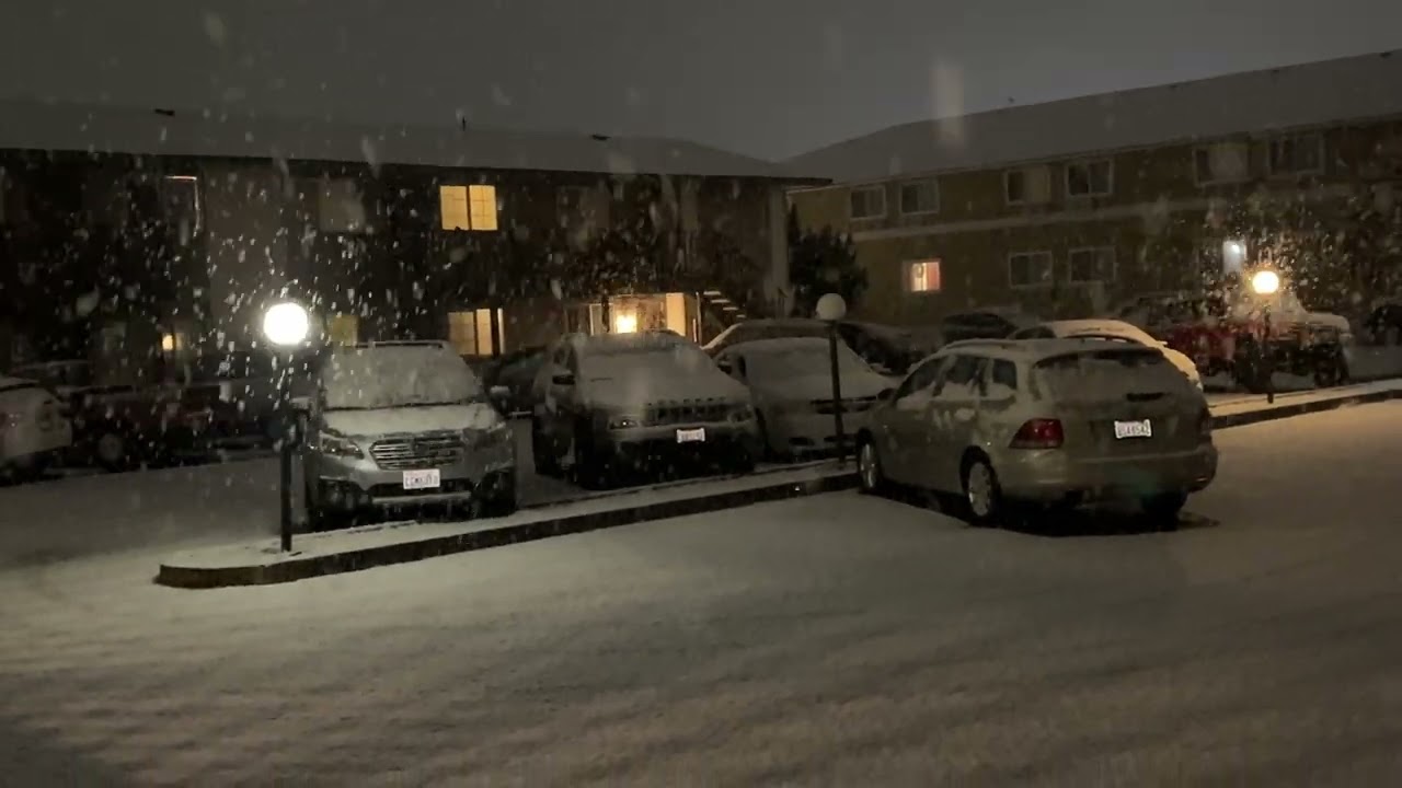 Pullman, WA: SUPER HEAVY SNOW WITH HUGE FLAKES!!! - 01/07/2026