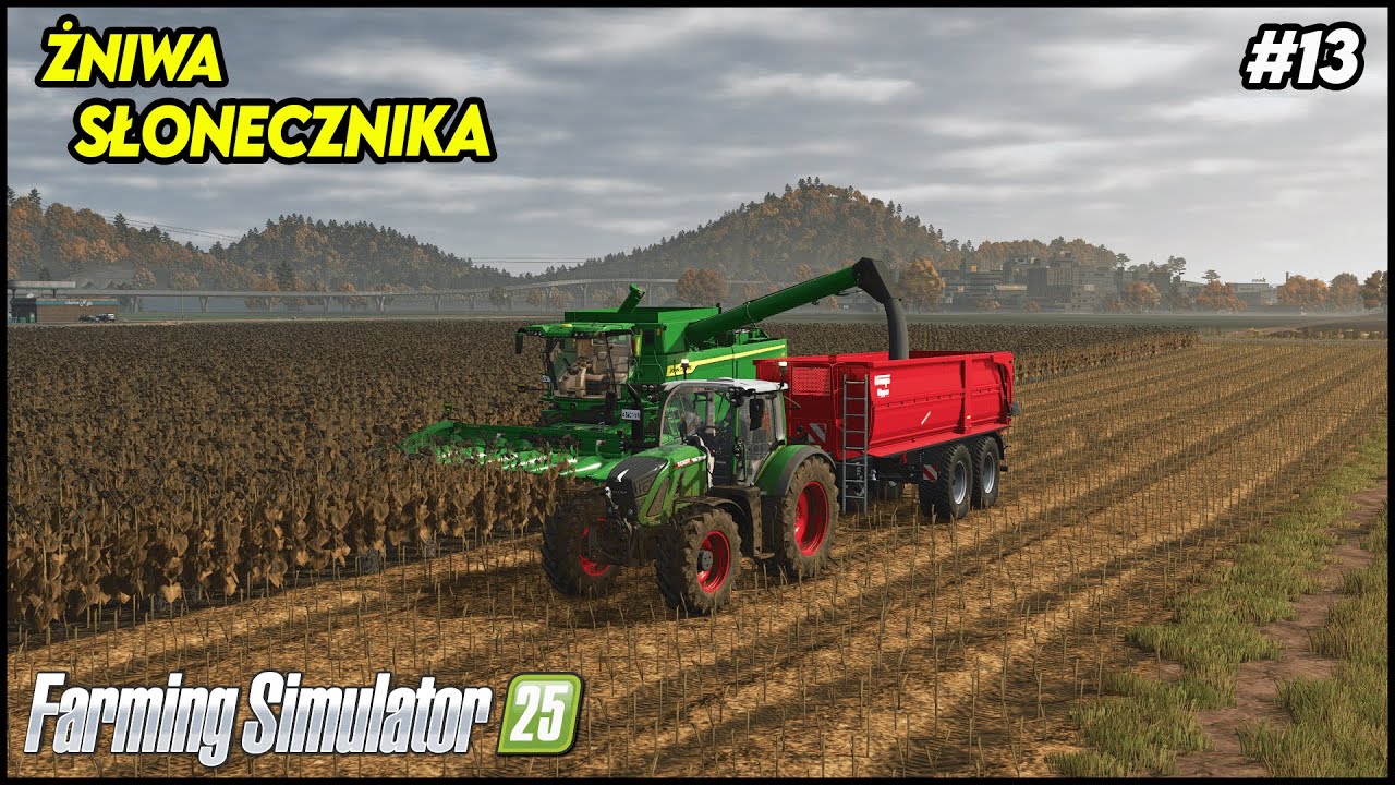 Żniwa słonecznika na nowym polu! 