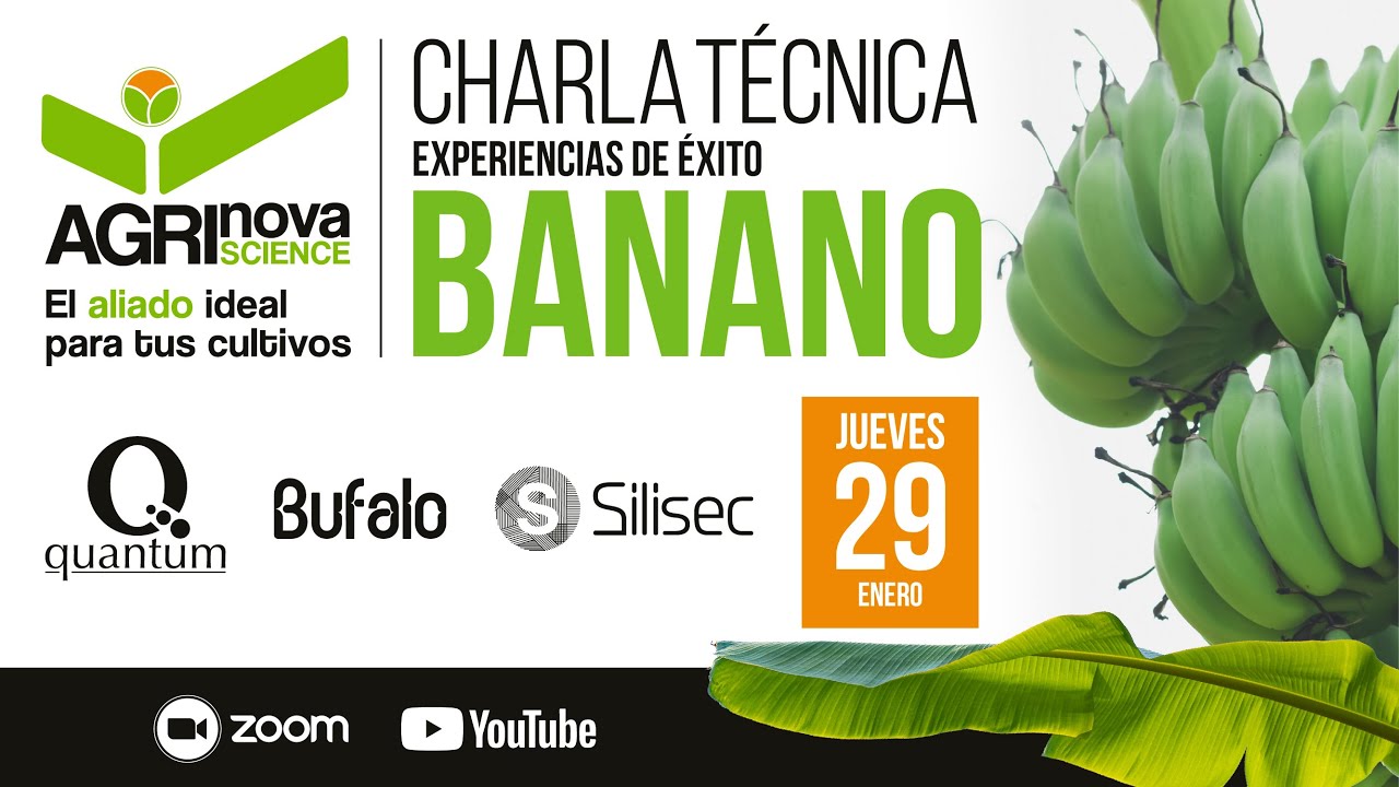 Experiencias de éxito en cultivo de banano