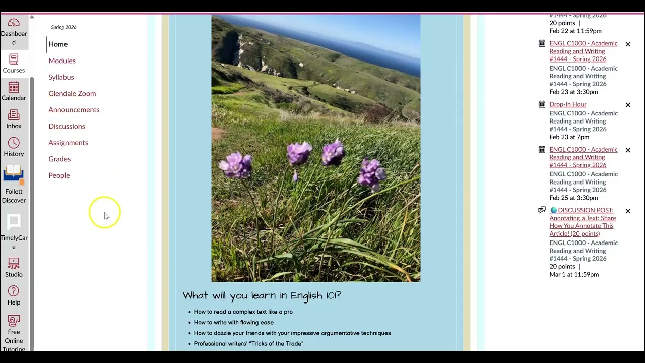 Intro to Remote Canvas