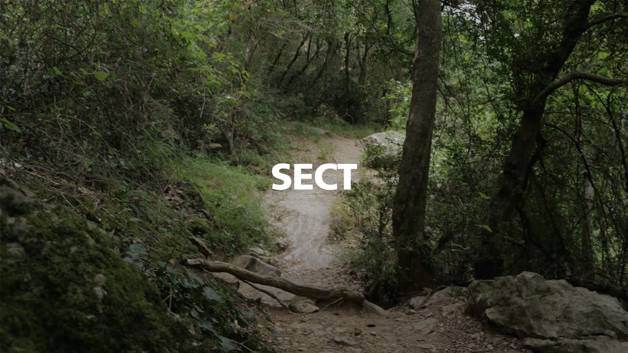 Mfly Music - Sect // MFLY INSTRUMENTALS