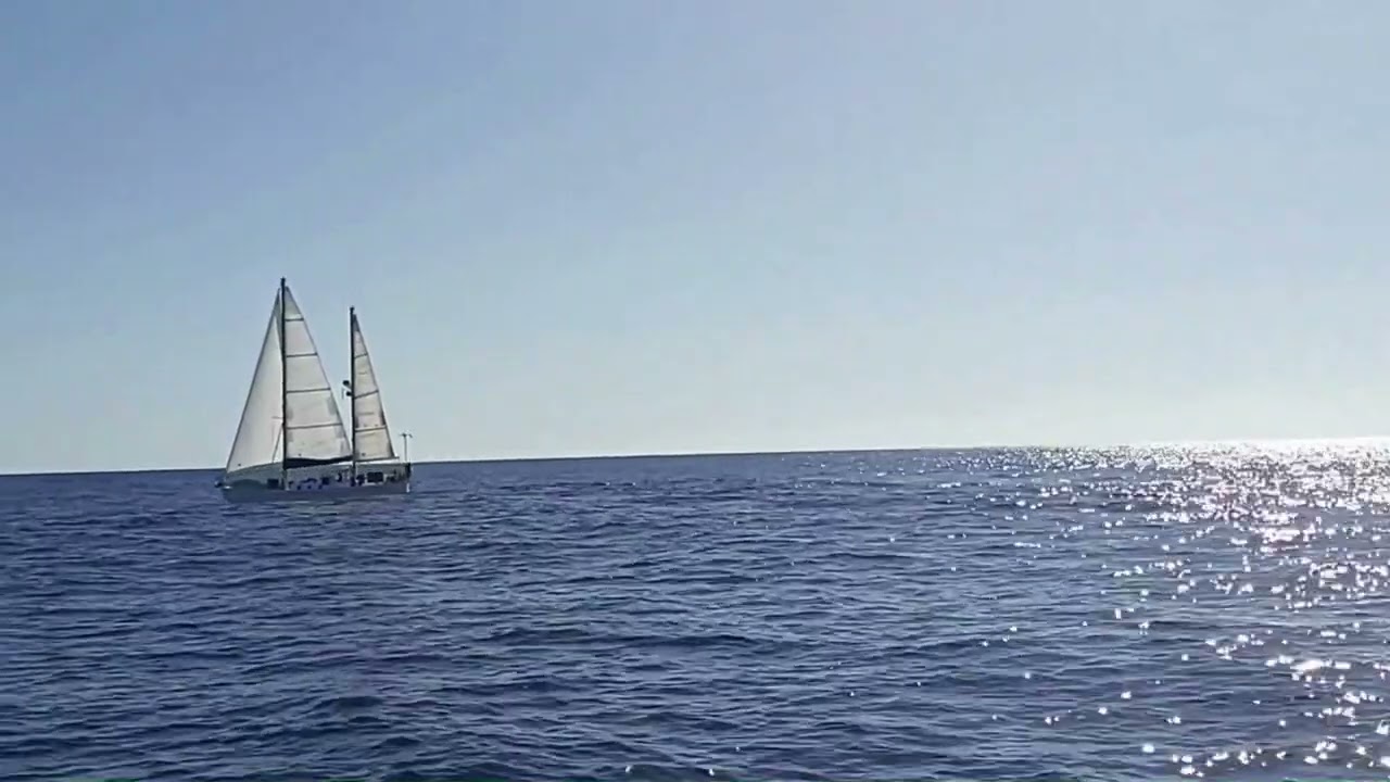 Very nice sail