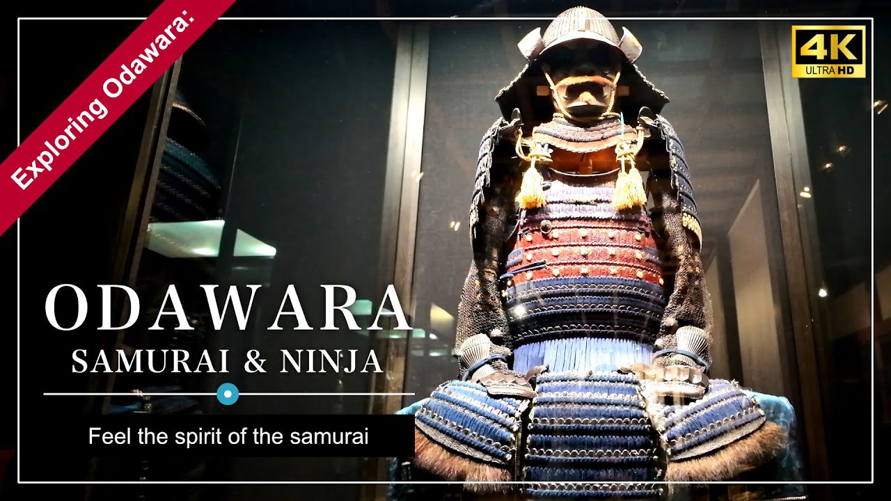 Odawara Castle Day Trip: Ninja Activities, Samurai Museum & Scenic Spots