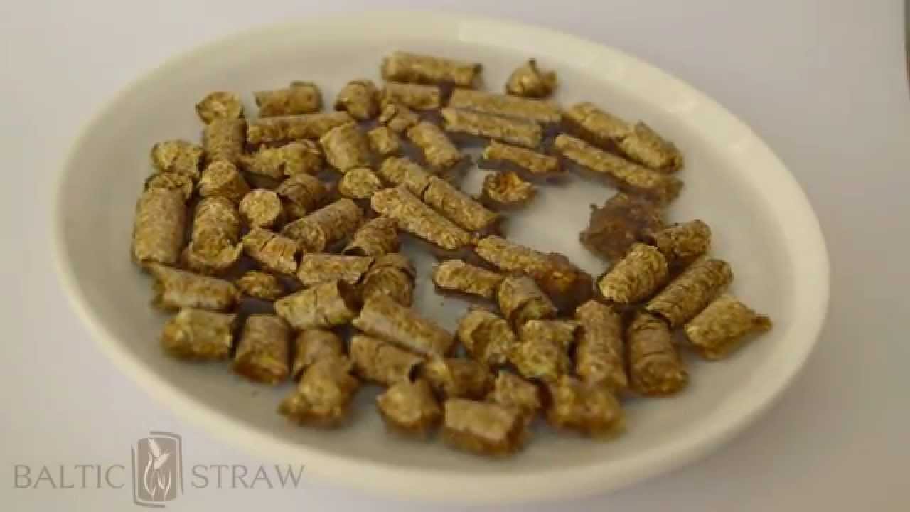 BALTIC STRAW - Straw pellets / Stroh pellets / Halmpellets / Olkipelletti