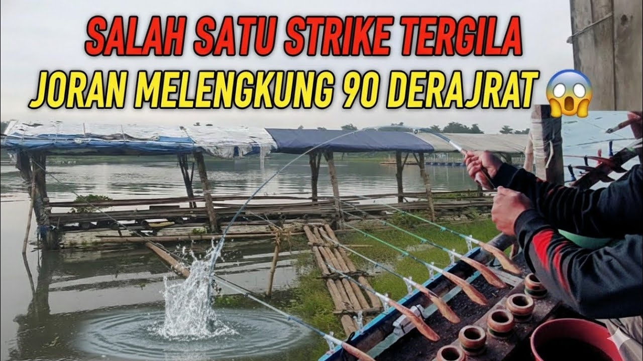 SPOT YANG SELALU DILEWATI TERNYATA SARANG IKAN BABON 🎣😱 MANCING SAGULING TERBARU 2025