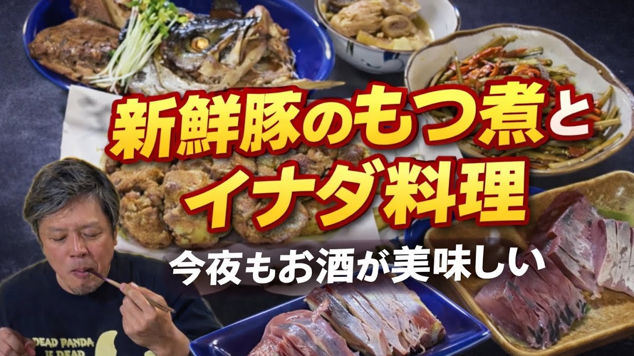 【酔いどれ日記】今日も贅沢な晩酌！イナダづくしとシロコロもつ煮