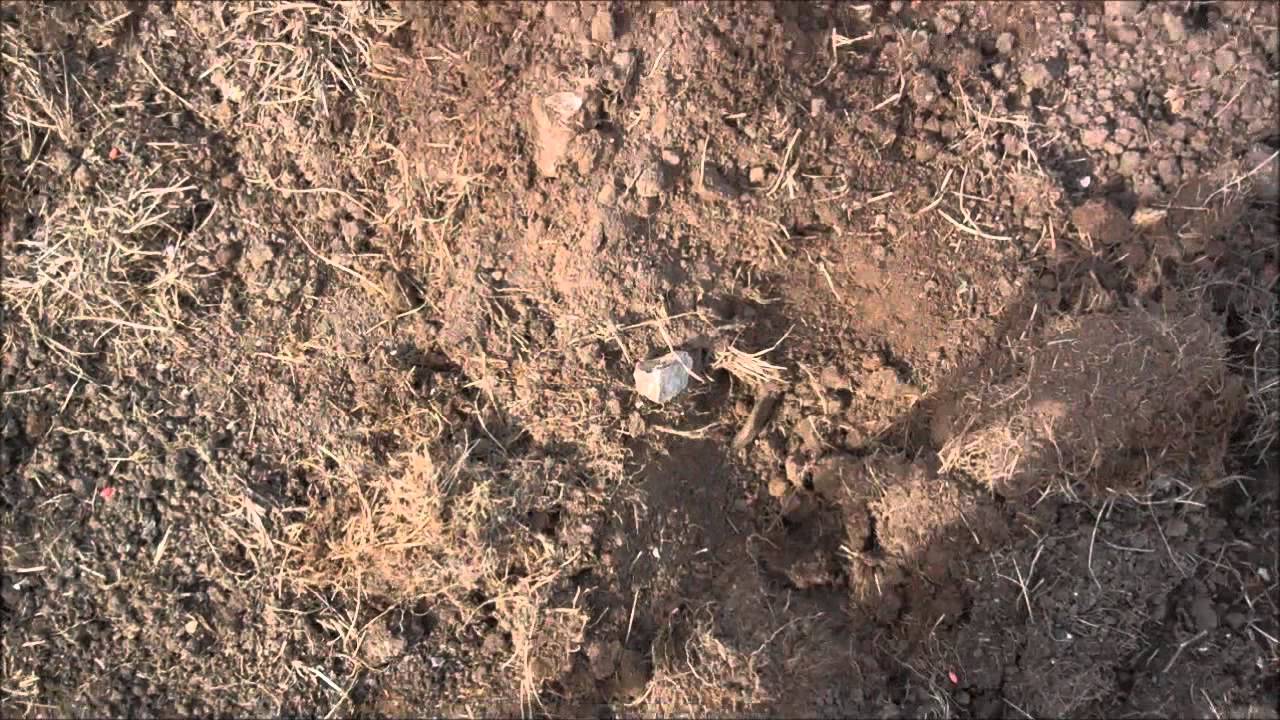 Detecting Dorset with ChideockLeigh Last Hunt with Cscope CS990XD