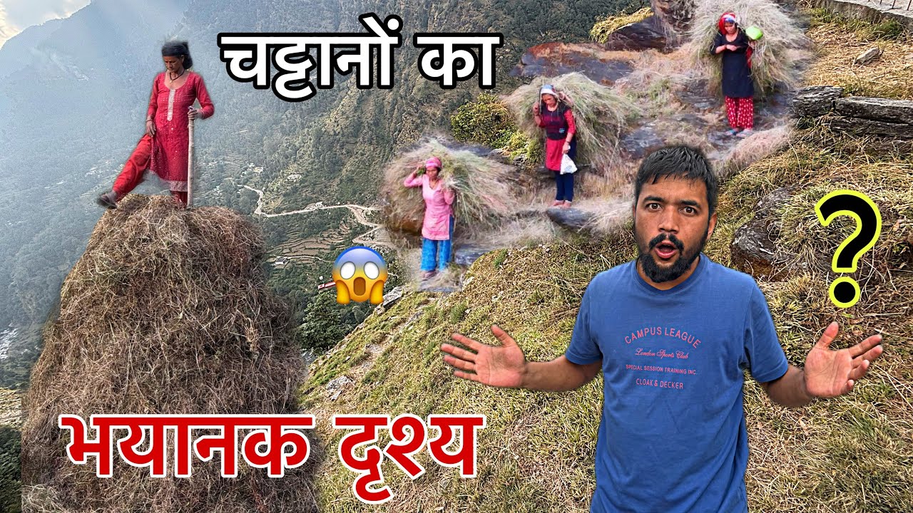सर्दियों की पूरी तैयारी, इन खतरनाक चट्टानों से घास लेकर आते हुए महिलाओं का भयानक दृश्य ॥ Arjun k v