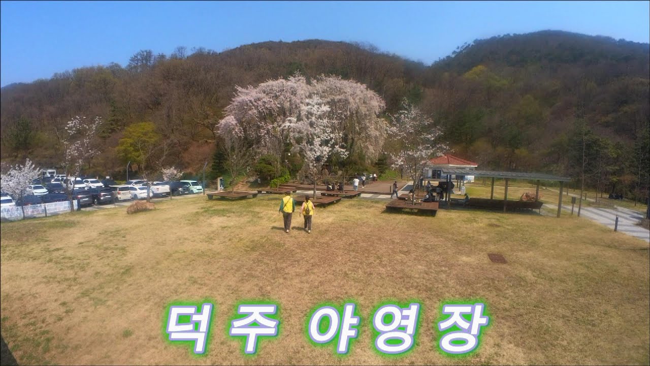 덕주야영장 | 도담삼봉 | 탄금대 | 애곡터널 | 천주터널 | 이끼터널 | 충주댐 과 벚꽃핀 모습을 담았습니다.