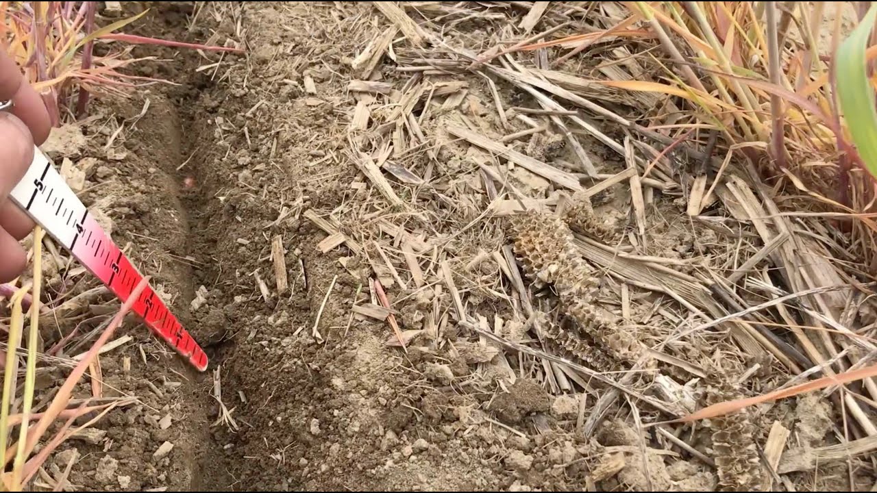 Terminating Cover Crops | Ohio Demo Farms