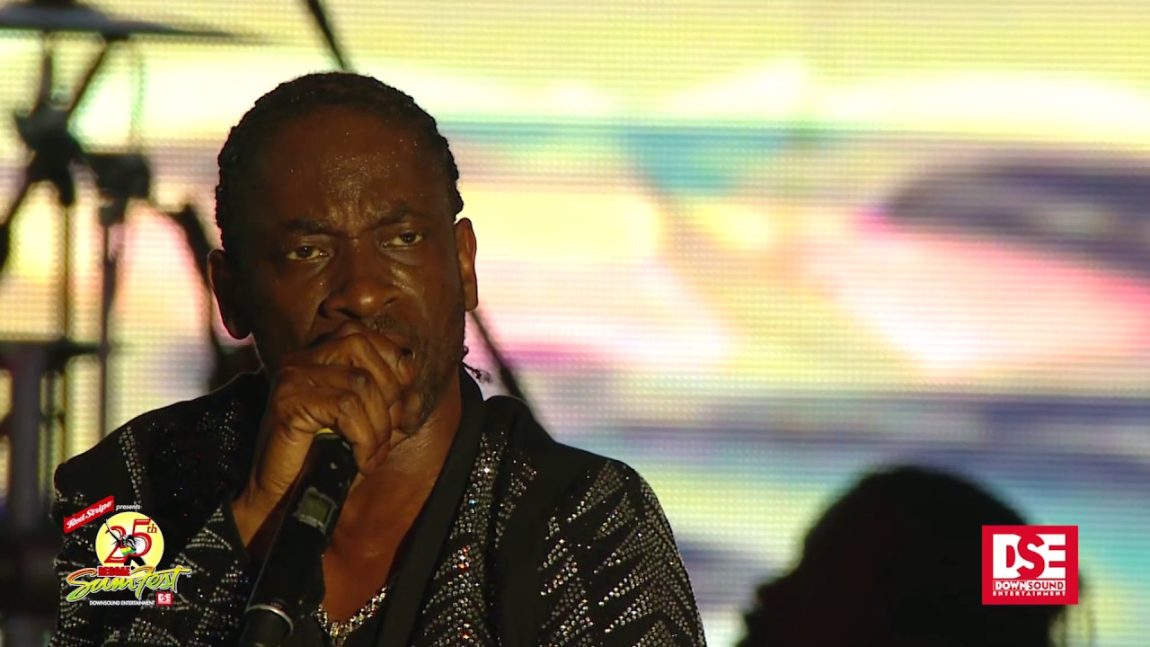 Reggae Sumfest 2017 - Bounty Killer (Part 5 of 6)
