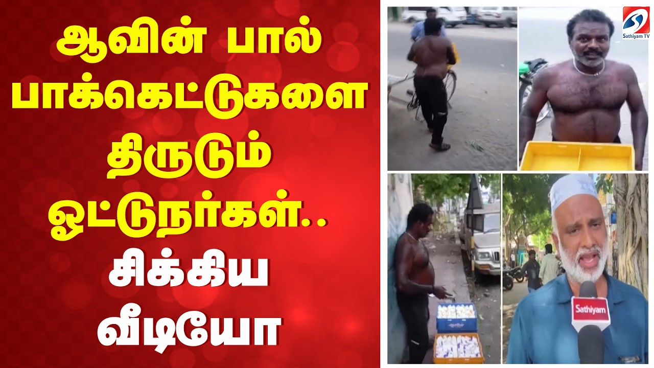 aavin milk theft | ஆவின் பால் பாக்கெட்டுகளை திருடும் ஓட்டுநர்கள் - சிக்கிய வீடியோ