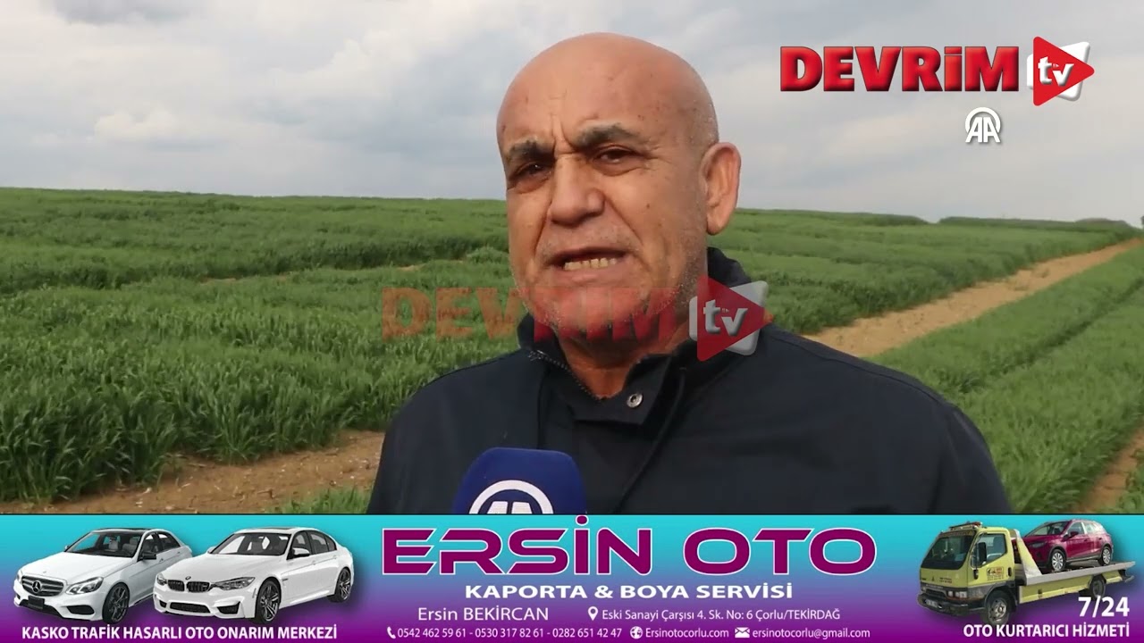 TEKİRDAĞ&acute;DA YERLİ BUĞDAY &Ccedil;EŞİDİ &lsquo;NK&Uuml; PAŞAELİ&rsquo; TESCİLLENDİ