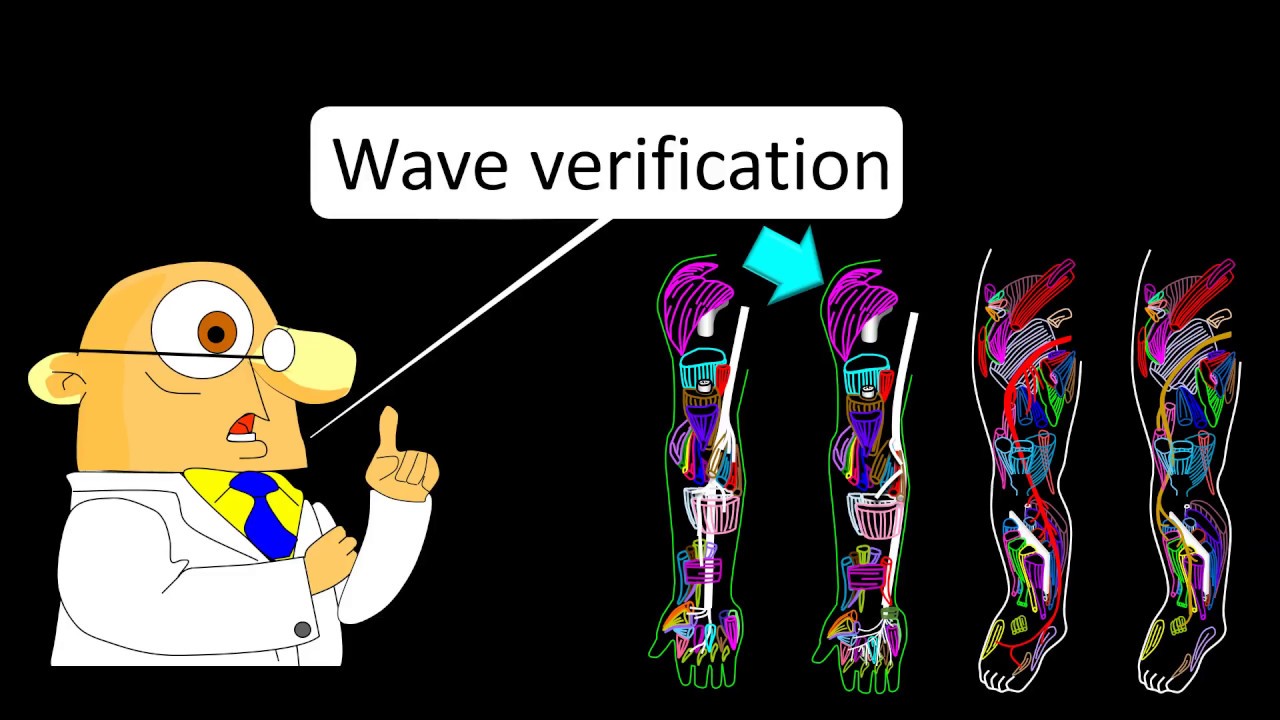 SSEPs verification