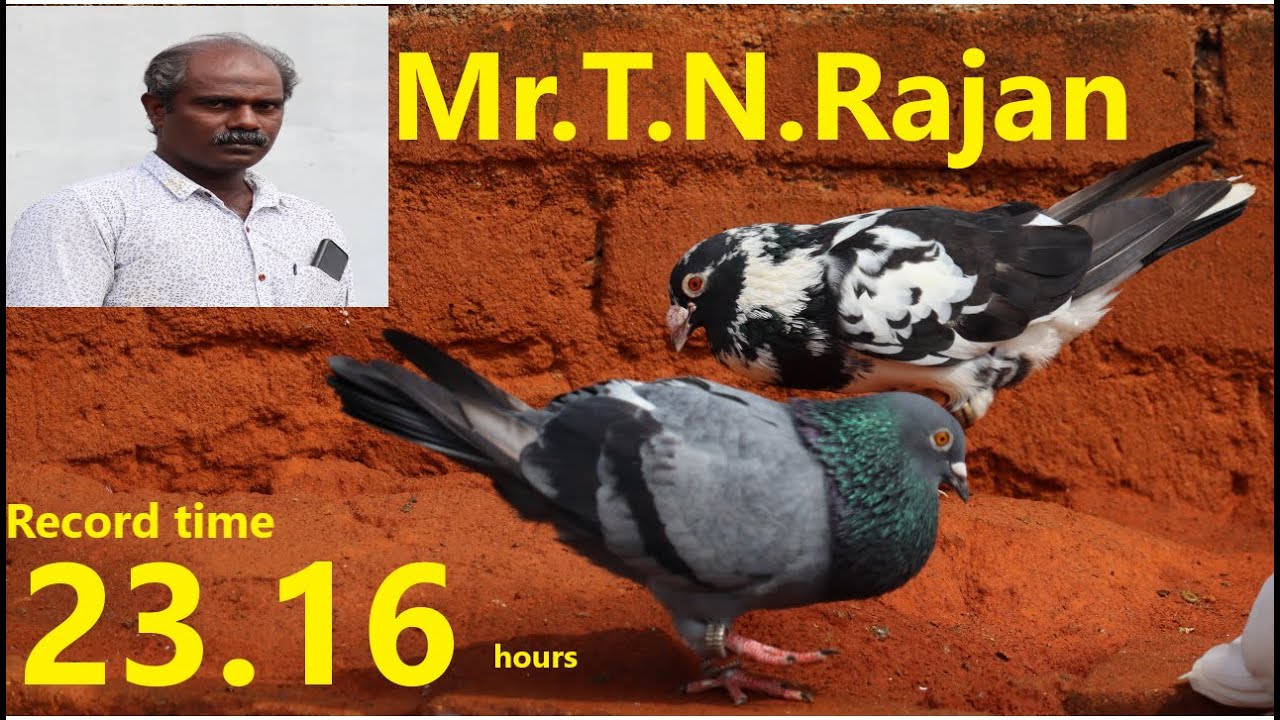 Mr.T.N.Rajan's (Record Time:23.16hrs)