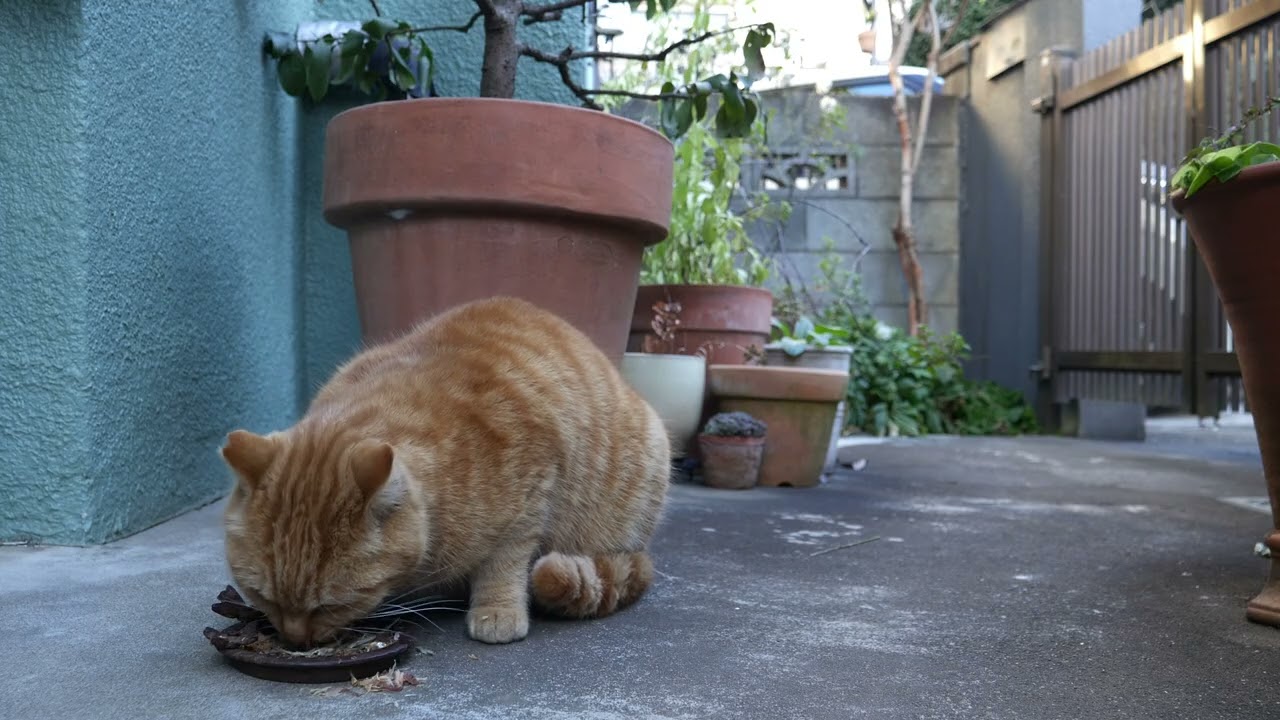 2026年01月24日07時39分