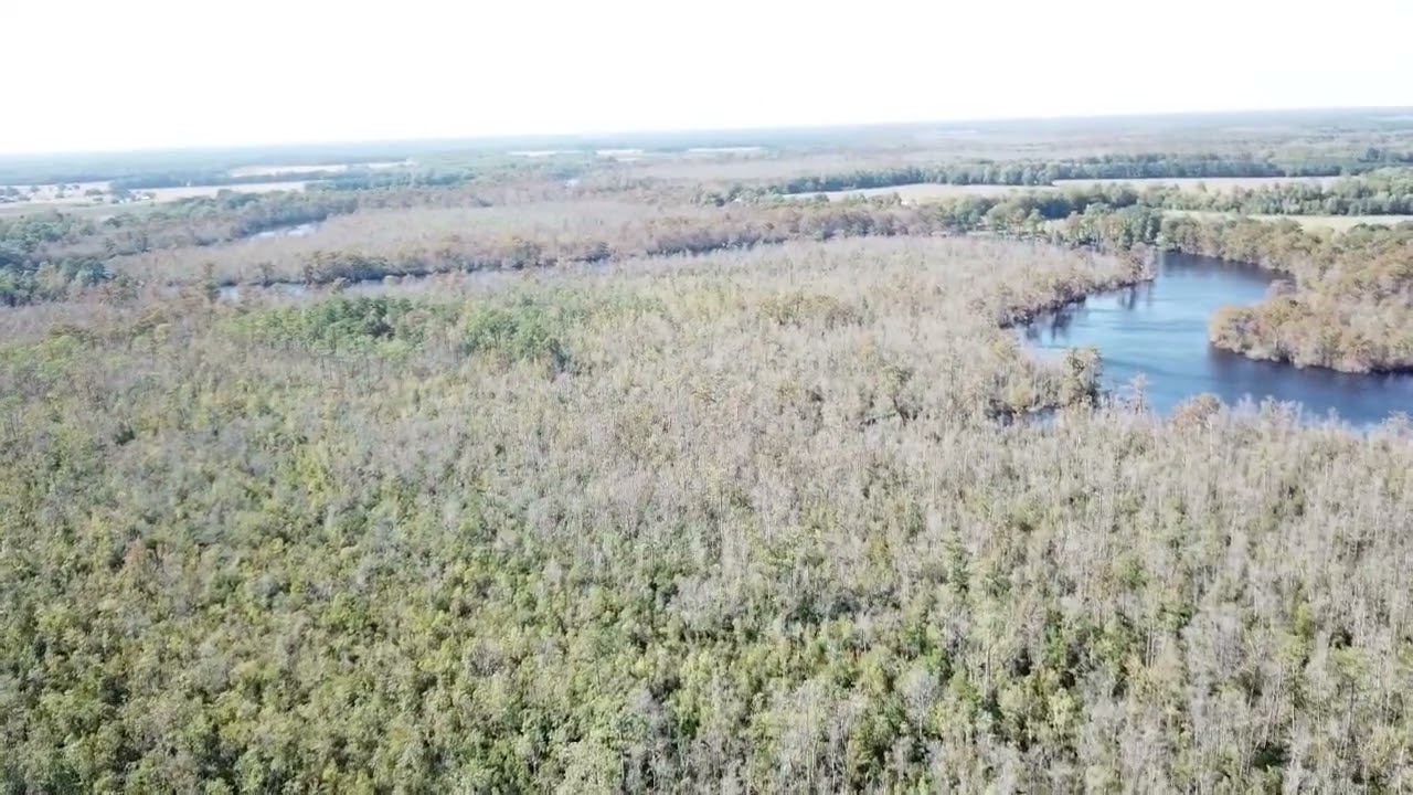 327-acre undeveloped land in Hertford, NC for sale