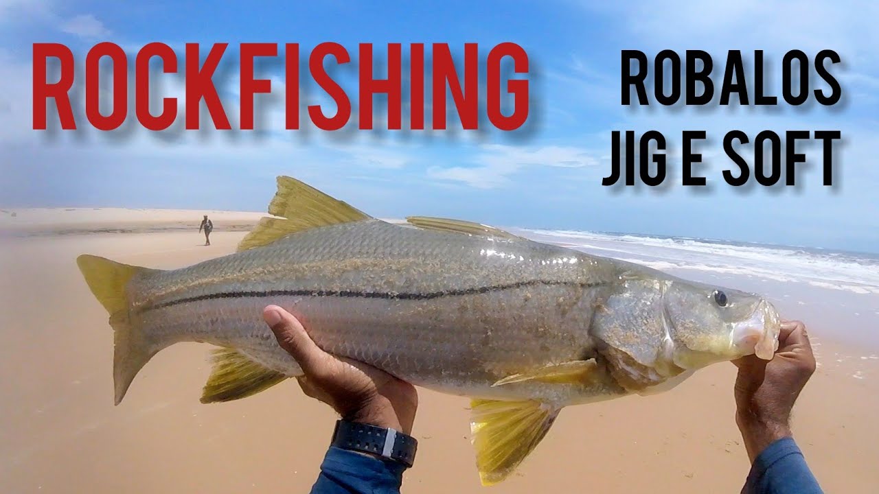 Pescaria de Robalo no Jig e camarão com jig head | Pescaria 60