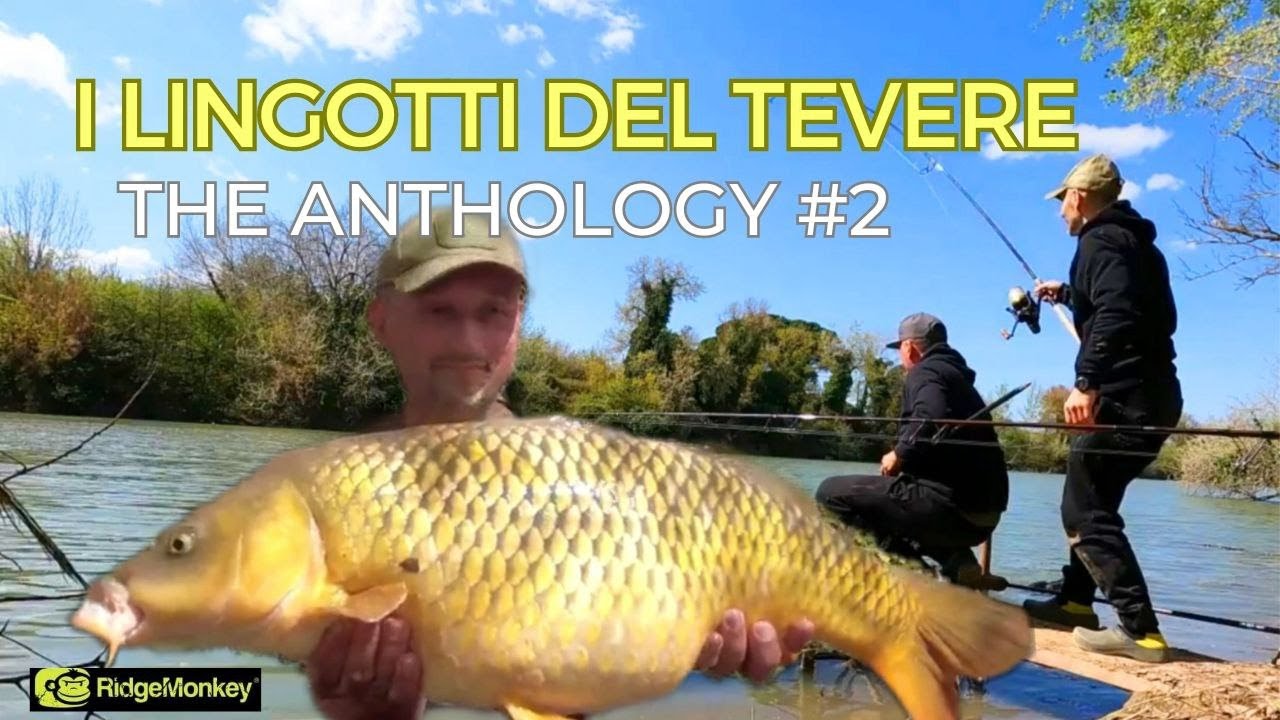 The Anthology#2 - I lingotti del Tevere
