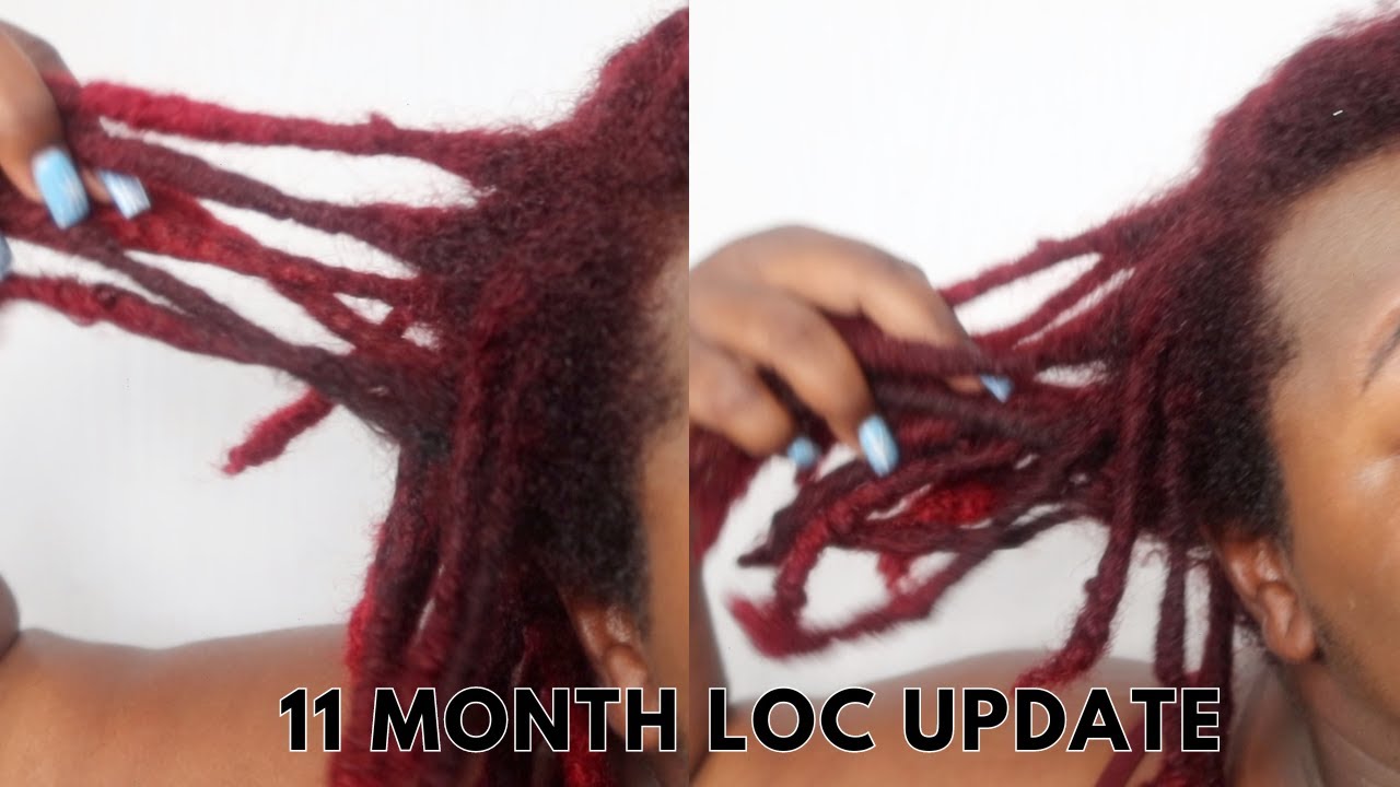 11 MONTH LOC UPDATE | TWO STRAND TWIST STARTER LOCS
