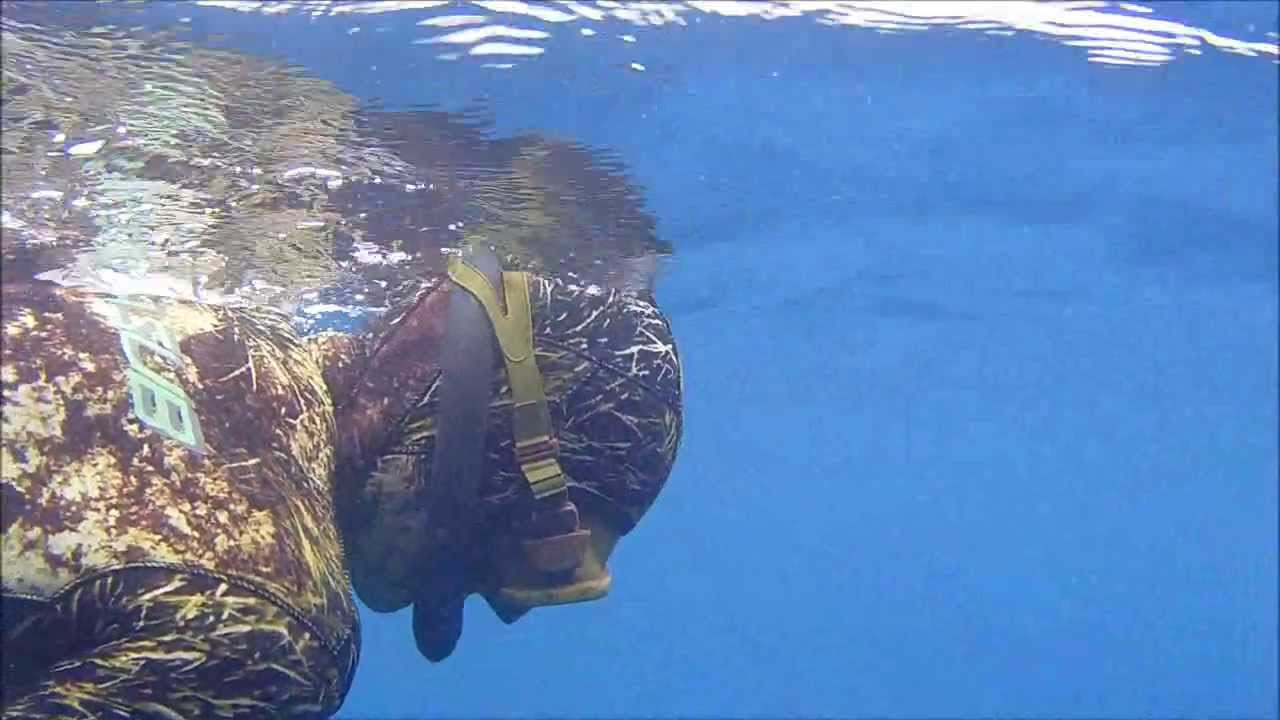 Assoluto Pesca in Apnea 2013 Terrasini _ Riprese Subacquee 2a