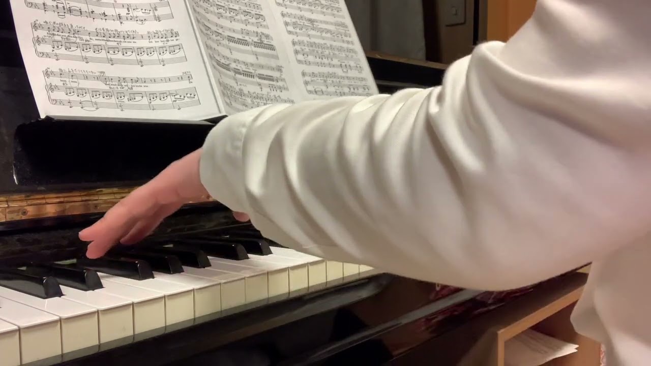 【ピアノ伴奏】Schäfers Klagelied（羊飼いの嘆きの歌）/シューベルト