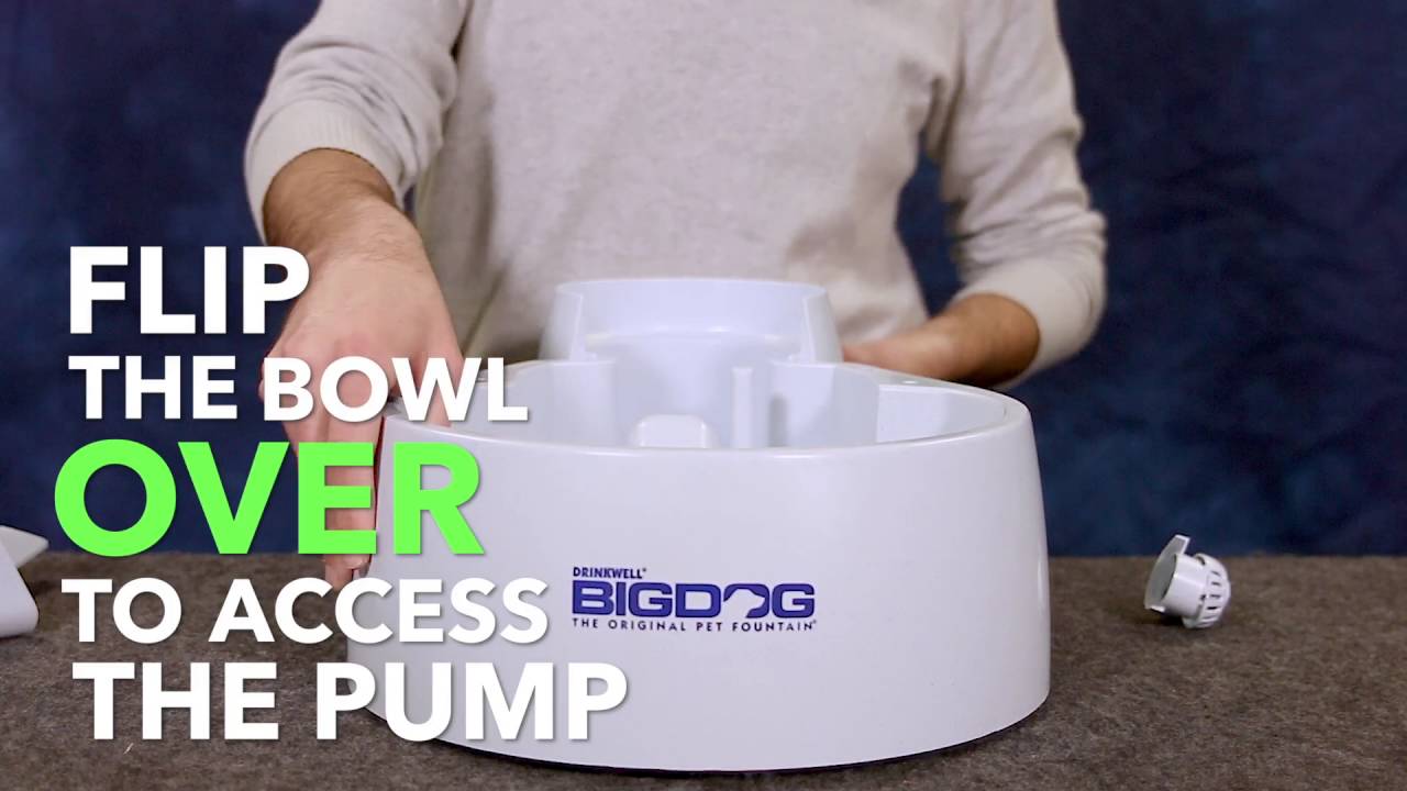 How to Remove the PetSafe&copy; Drinkwell&copy; Big Dog Pet Fountain Pump
