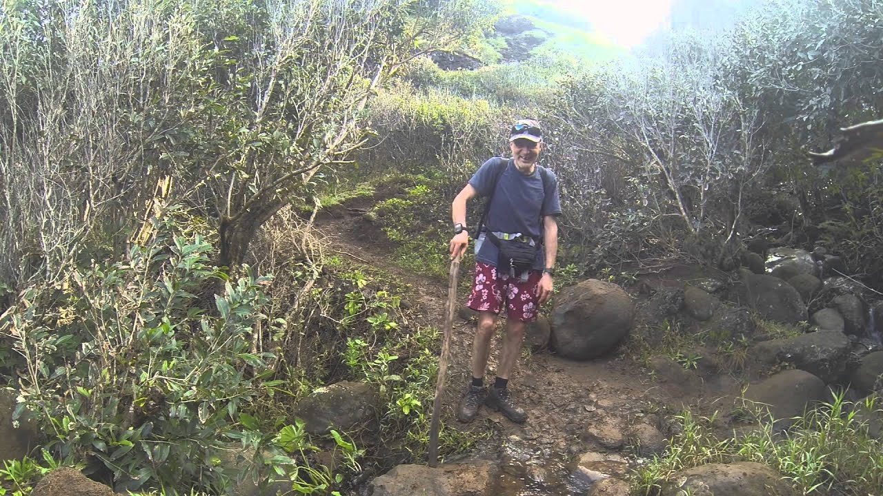 Goats on Kalalau trail