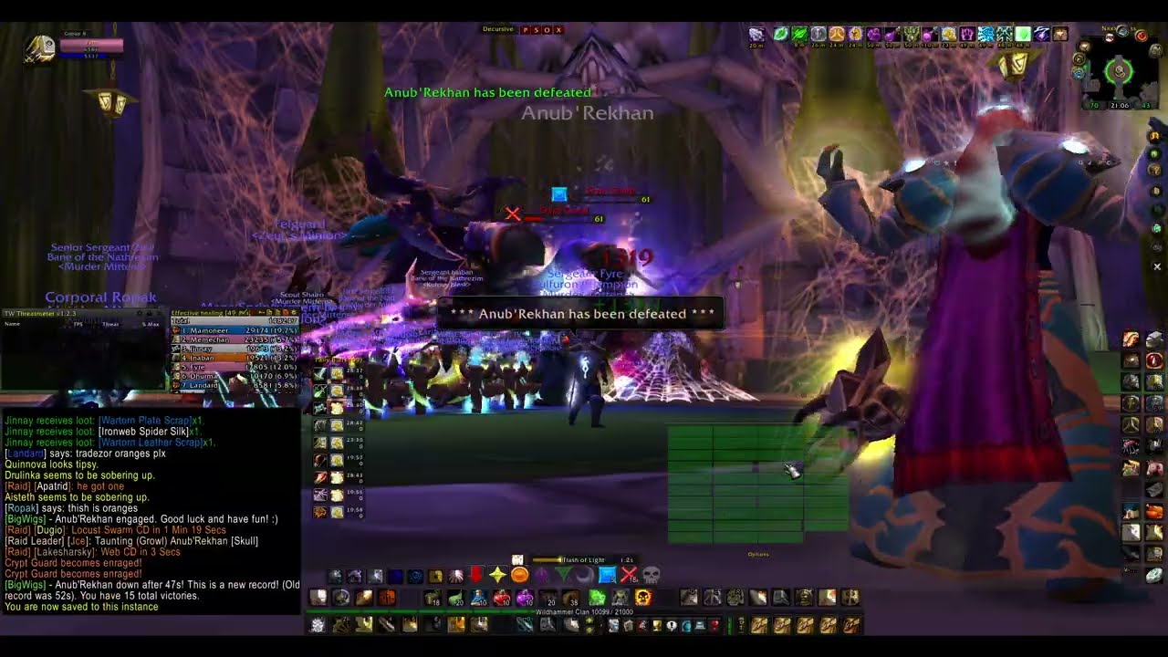 Turtle Wow - MM weekly Naxx - 29 January - Paladin