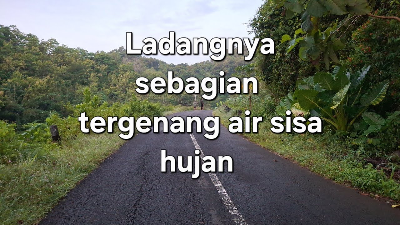 Sebagian ada ladang yang tergenang air karena sisa hujan 