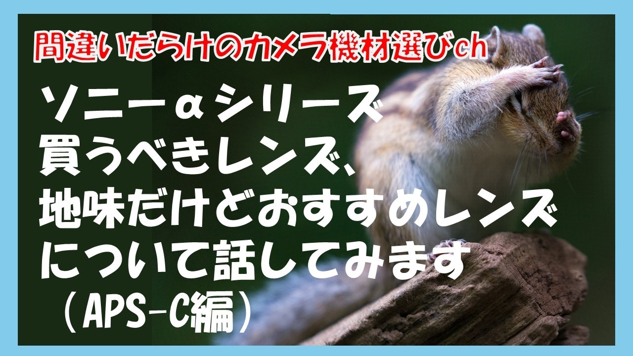 間違いだらけのカメラ機材選びch 「ソニーαシリーズ買うべきレンズ、地味だけどおすすめレンズについて話してみます（APS-C編）」