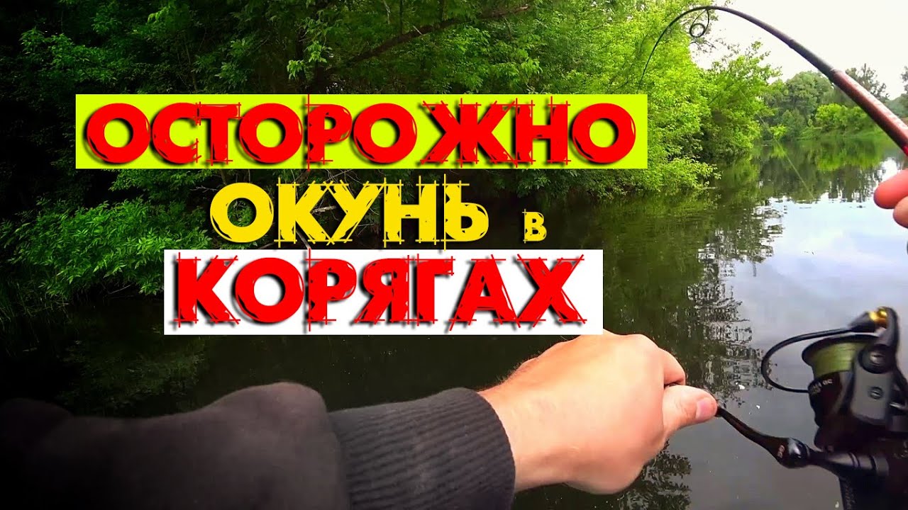 РЫБАЛКА на ОКУНЯ в ГУСТОМ КОРЯЖНИКЕ с ЛОДКИ на РЕКЕ ЛЕТОМ ! ОКУНЬ КЛЮЕТ в КОРЧАХ !